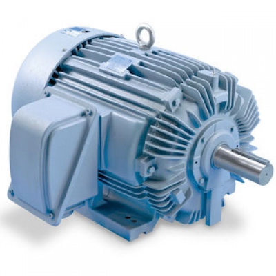 TECO IEEE-841 Motors