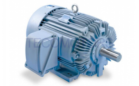 IEEE-841石油化工專(zhuān)用NEMA電機(jī)