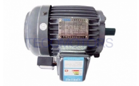 剎車(chē)電機(jī)