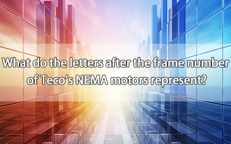 What do the letters after the frame number of Teco's NEMA motors represent?